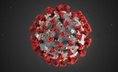 L’incubo del coronavirus. Consigli su come usare il nostro cervello per potenziare il sistema immunitario.